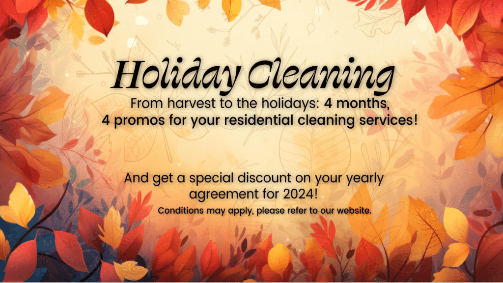 Are There Special Cleaning Packages Available For Holidays?